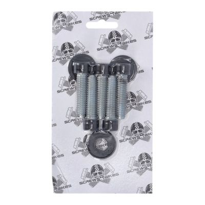 979763 - Screws4bikes, bolt kit, pulley