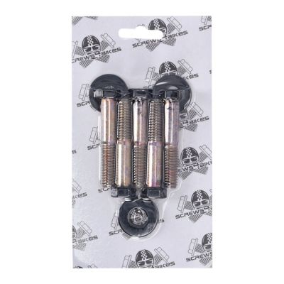 979765 - Screws4bikes, bolt kit, pulley