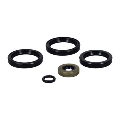 980511 - Athena, engine oil seals kit