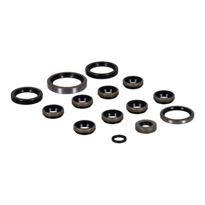 980513 - Athena, engine oil seals kit