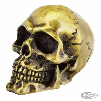 165587 - GZP Bronze fender mounted skull