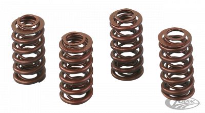 232637 - Andrews hi-lift valve springs BT84-04 XL