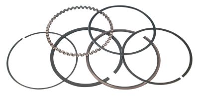 710156 - TOTAL SEAL TS1 ring set 3-13/16" Std.