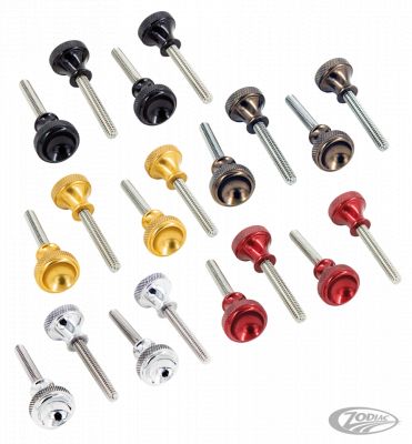 757746 - P16 - Powerplant Motorcycle Co. P16 FXR SIDE COVER SCREWS Gold