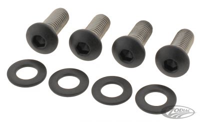 770445 - screws4bikes Fndr Struts Bolts Matt Blk RH975 21-U