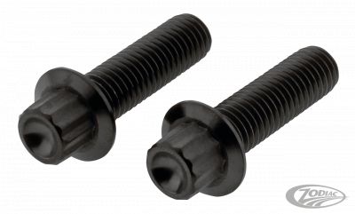770462 - screws4bikes Caliper FR Bolts Titanium Black K1