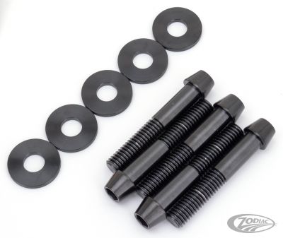 770465 - screws4bikes Titan Pulley Bolts Black BT06-Up
